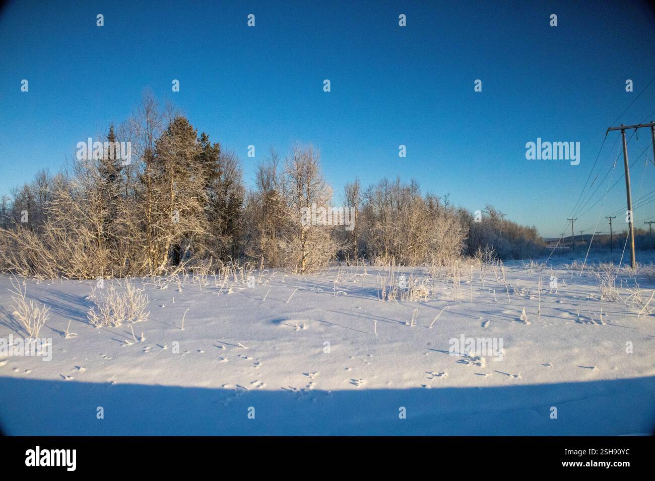Paysage hivernal à Kiruna, Laponie, nord de la Suède. Photographié en janvier. Banque D'Images
