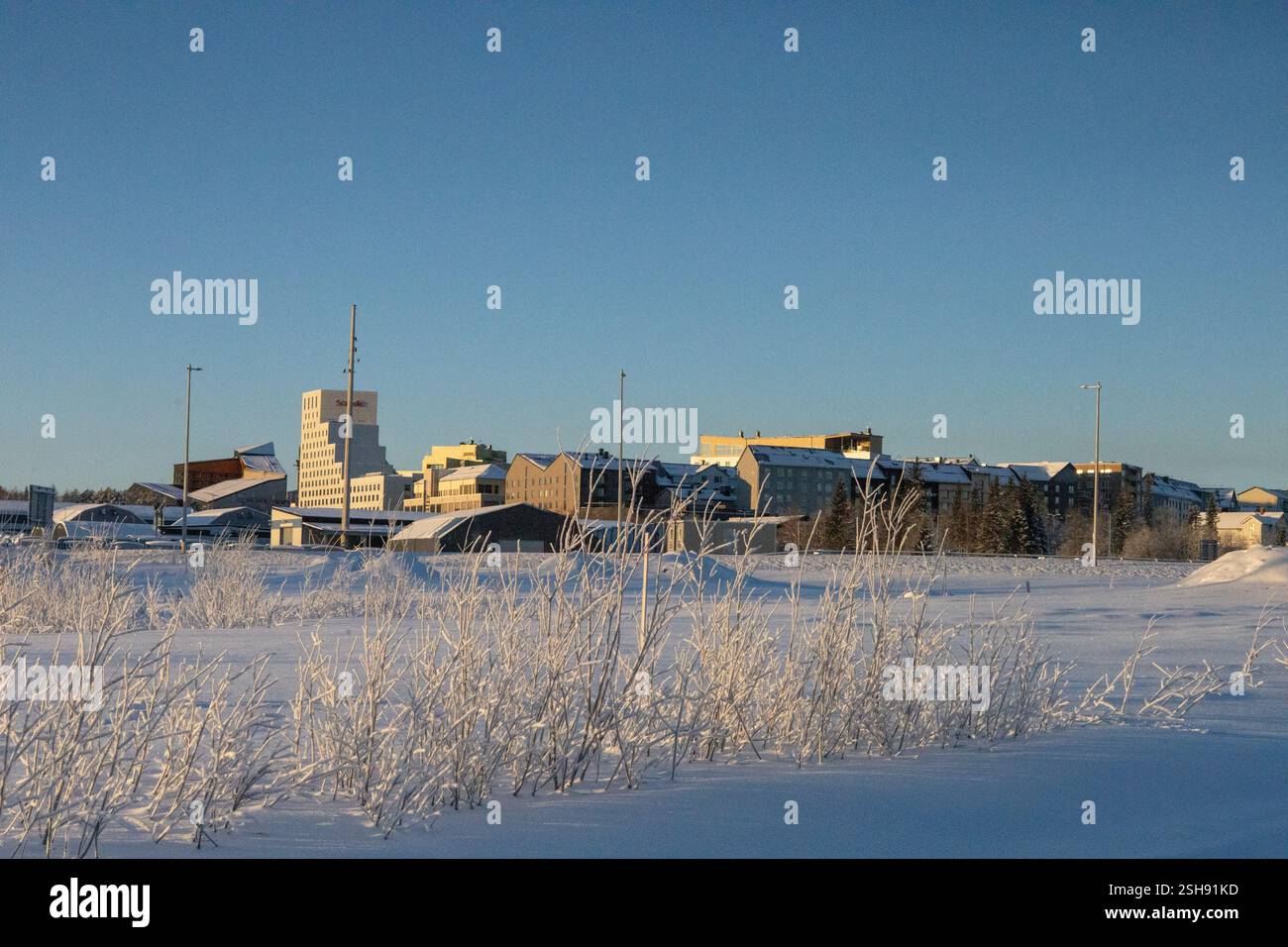 Paysage hivernal à Kiruna, Laponie, nord de la Suède. Photographié en janvier. Banque D'Images