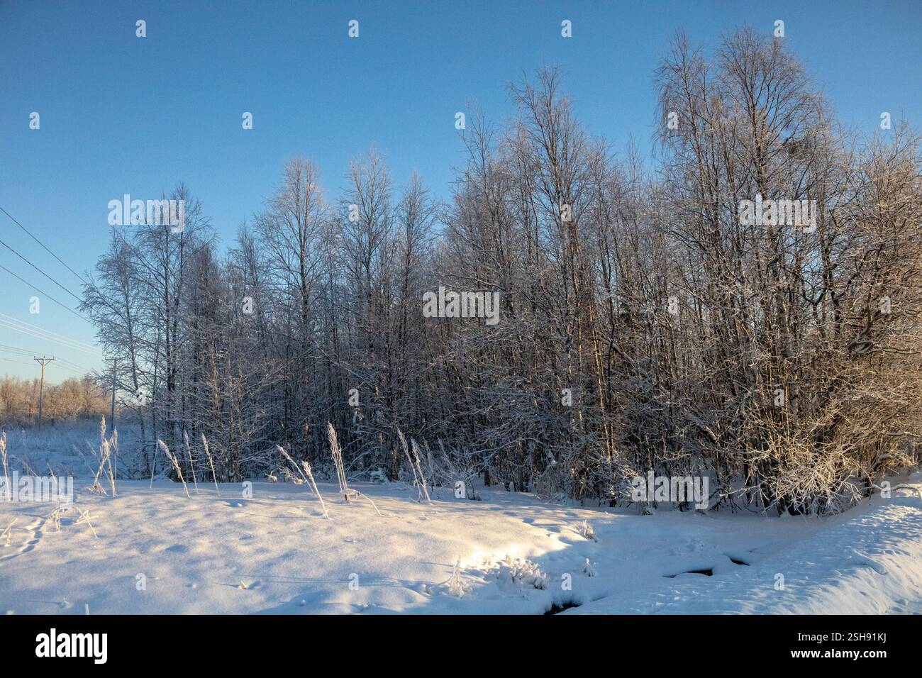 Paysage hivernal à Kiruna, Laponie, nord de la Suède. Photographié en janvier. Banque D'Images