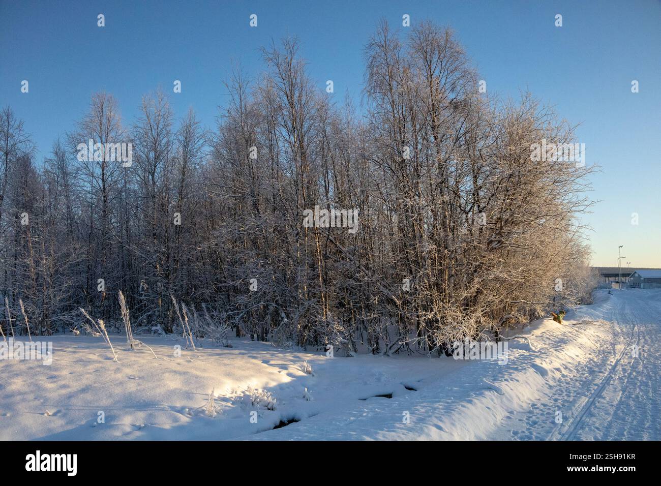 Paysage hivernal à Kiruna, Laponie, nord de la Suède. Photographié en janvier. Banque D'Images
