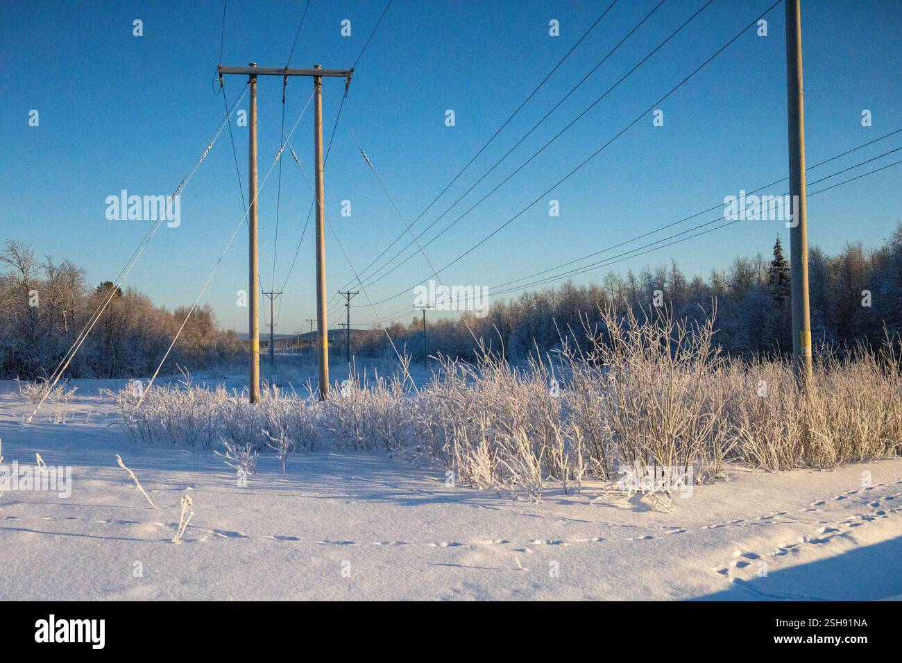 Paysage hivernal à Kiruna, Laponie, nord de la Suède. Photographié en janvier. Banque D'Images