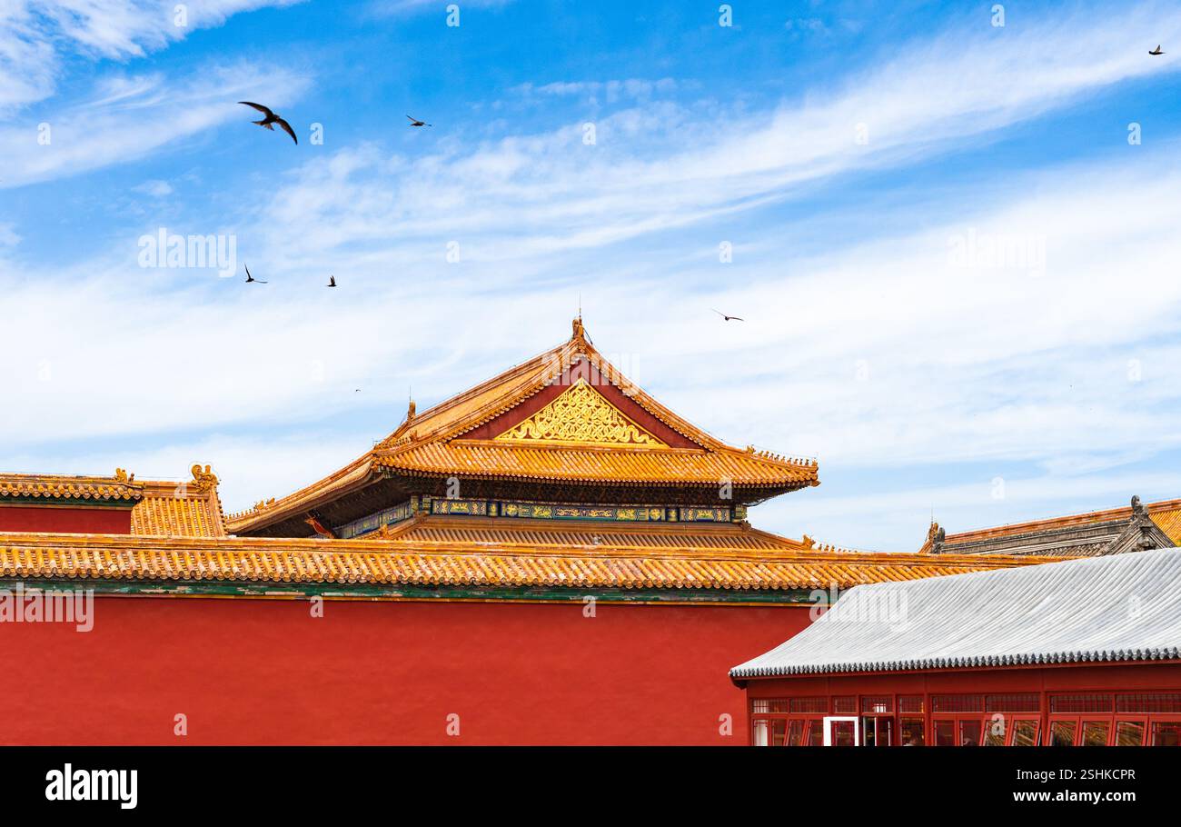 Avant-toit de bâtiment antique de la Cité interdite à Pékin, Chine Banque D'Images