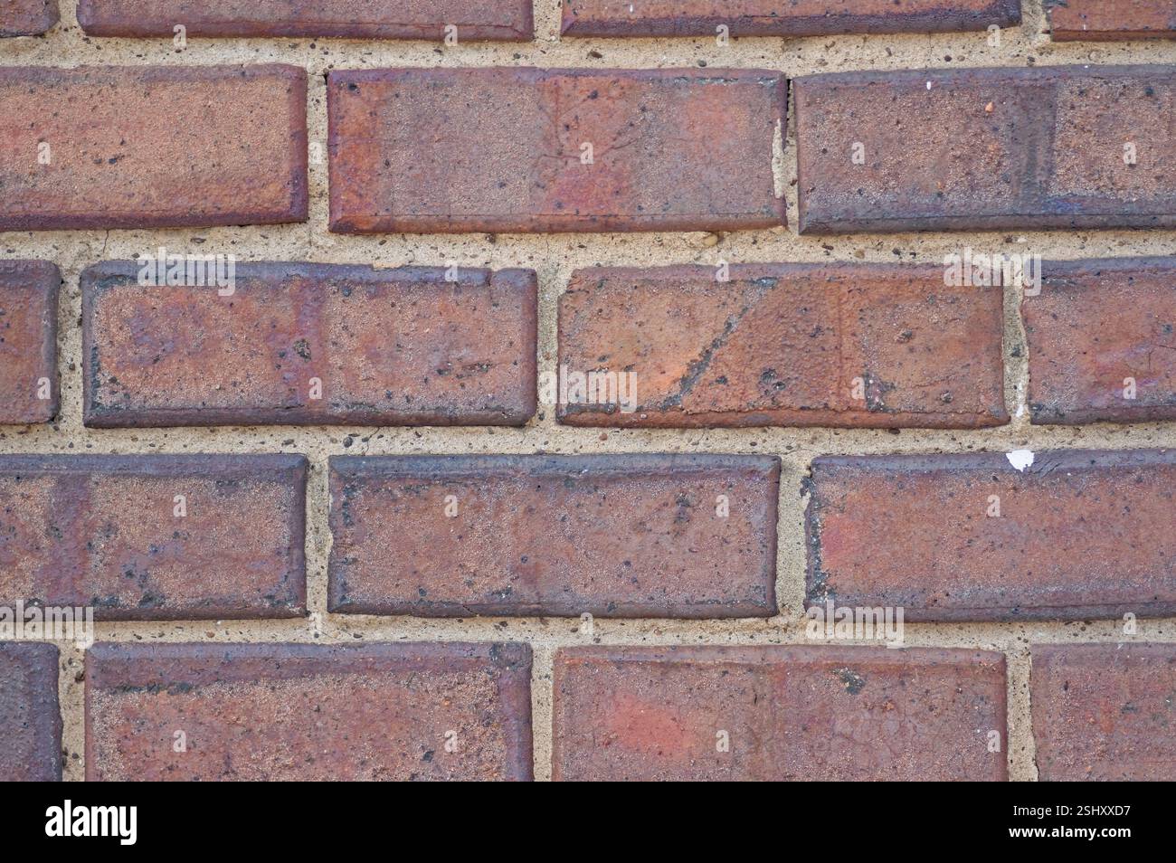 Texture de la brique gros plan avec des bords biseautés sur la brique Banque D'Images