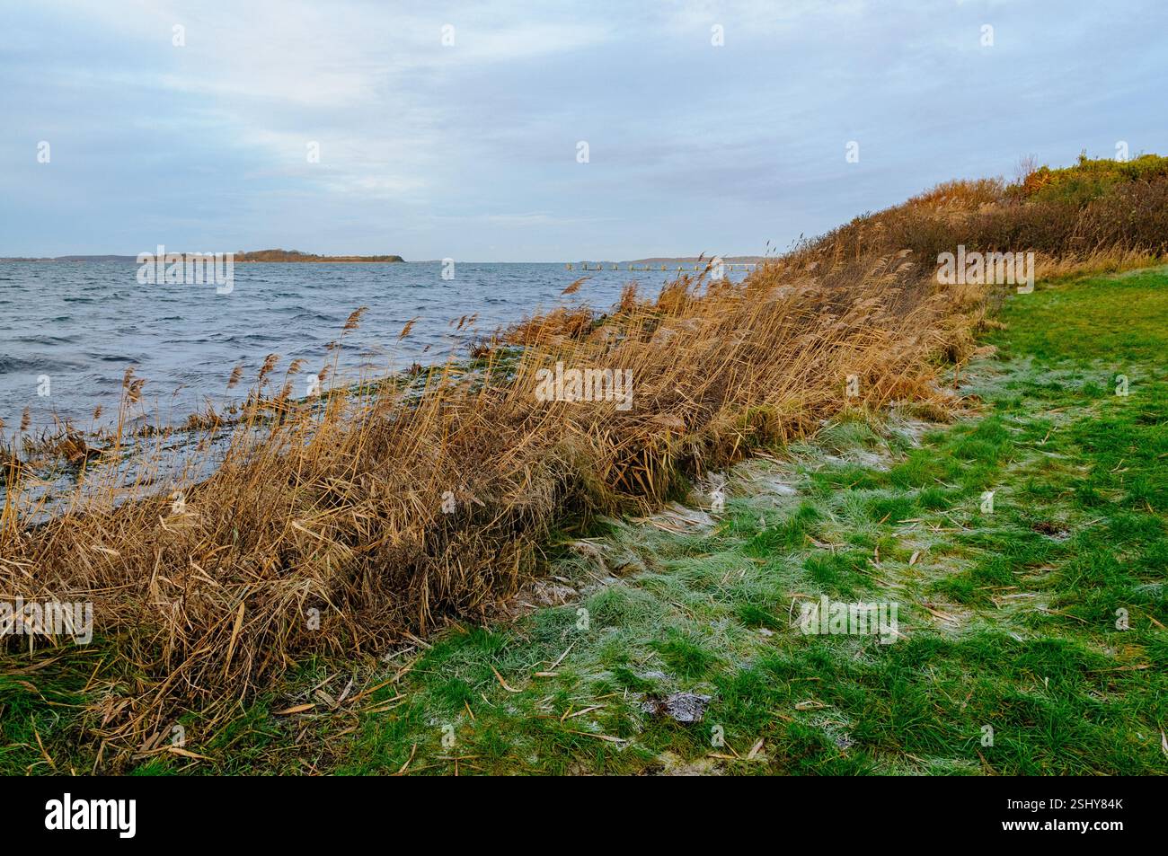 Les vagues se balancent doucement contre le rivage tandis que les hautes herbes dansent dans le vent, entourées par un cadre côtier paisible pendant une journée couverte. Banque D'Images