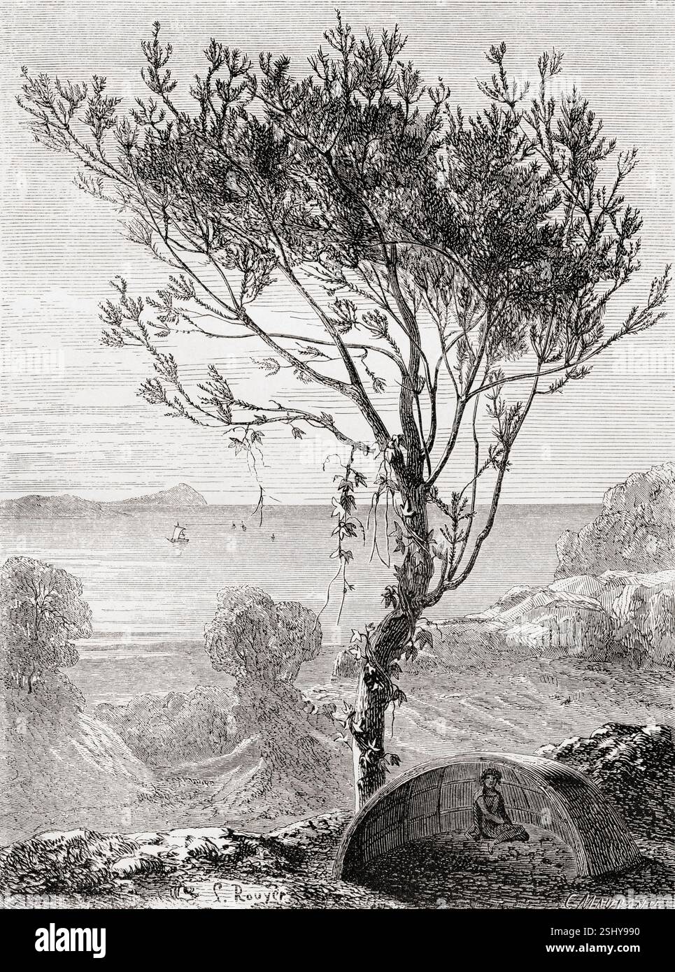 Banksia latifolia, Australie. Extrait de souvenir d'un squatter Francais en Australie ou mémoire d'un squatter français en Australie par Hubert de Castella, 1825 - 1907. Swiss - écrivain australien, artiste et vigneron. En vedette dans le Tour du monde, publié en 1861. Banque D'Images Banksia latifolia, Australie. Extrait de souvenir d'un squatter Francais en Australie ou mémoire d'un squatter français en Australie par Hubert de Castella, 1825 - 1907. Swiss - écrivain australien, artiste et vigneron. En vedette dans le Tour du monde, publié en 1861. Banque D'Images