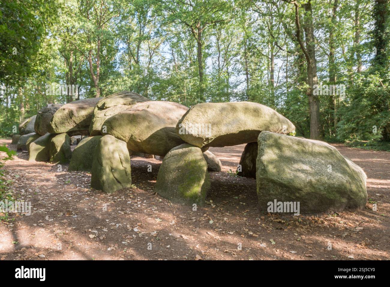 Dolmen préhistorique, chassé (D27), à Borger, Drente (Drenthe), pays-Bas. Une tombe d'environ 5400 ans, construite autour de 3400 av. J.-C. Banque D'Images