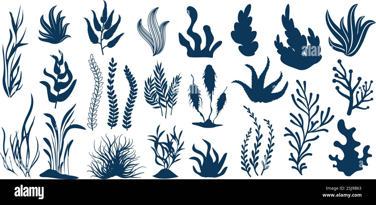 Silhouettes d'algues. Plantes aquatiques, formes de flore sous-marine de feuilles et d'algues pour la décoration d'aquarium. Ensemble de vecteurs ISOLES de plantes marines Illustration de Vecteur