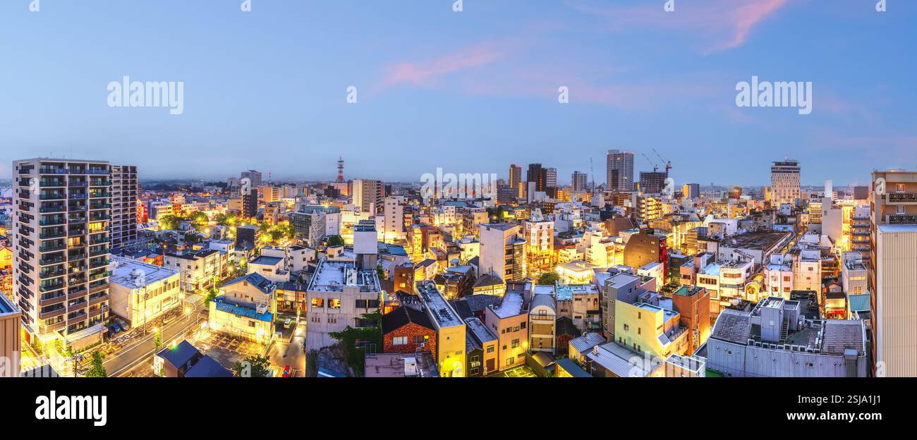 Toyashi, panorama du centre-ville du Japon. Banque D'Images