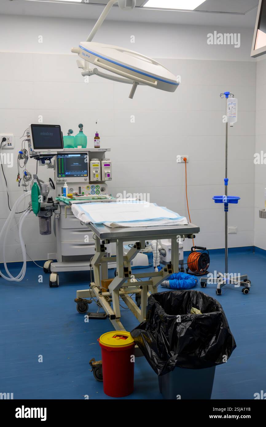 Salle d'opération vétérinaire photographiée à l'Hôpital israélien de la faune, Ramat Gan, Israël Banque D'Images