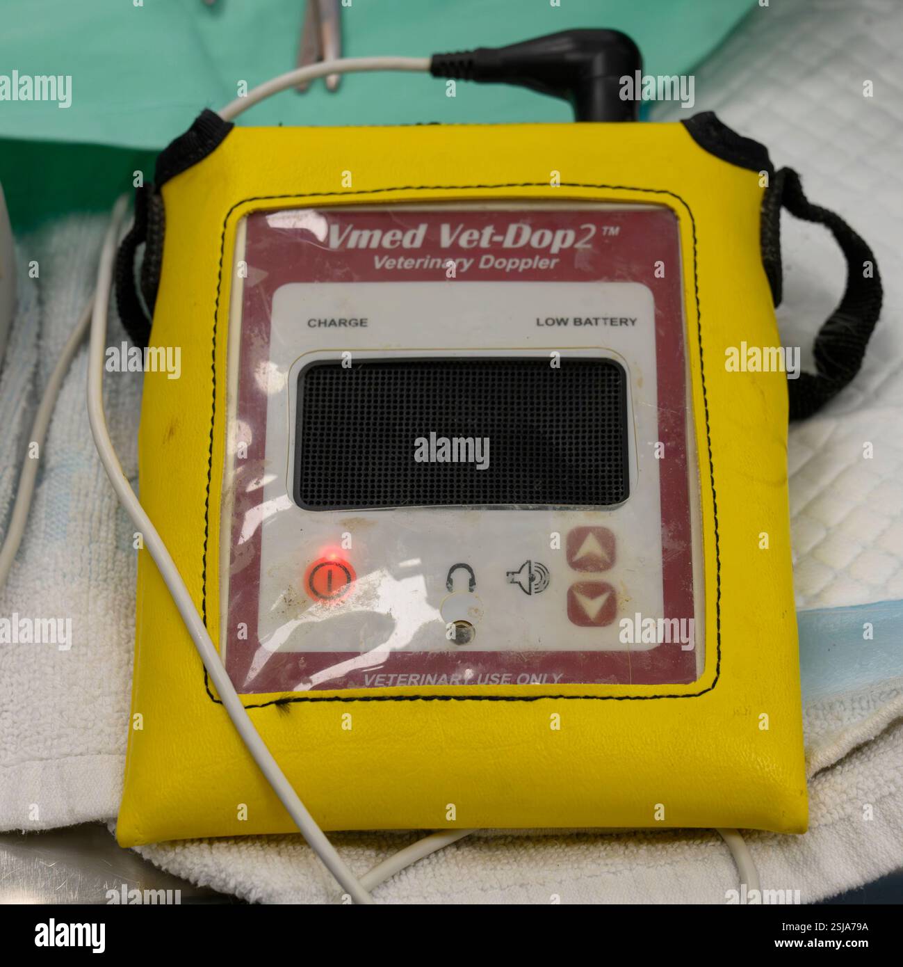 Moniteur vétérinaire doppler de fréquence cardiaque photographié à l'Hôpital israélien de la faune, Ramat Gan, Israël Banque D'Images