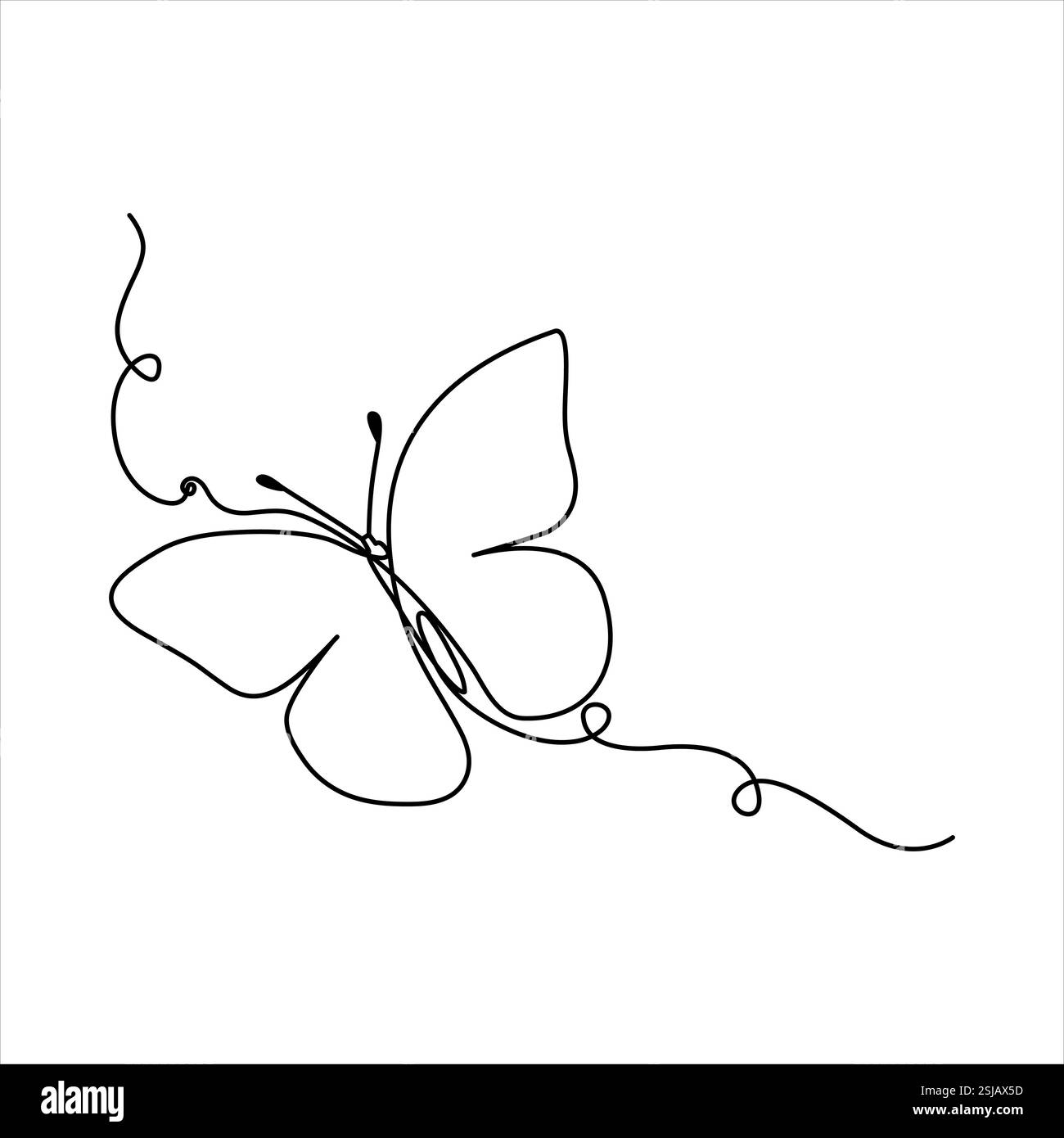 Ligne unique continue de dessin vectoriel de contour de papillon conception isolée Illustration de Vecteur