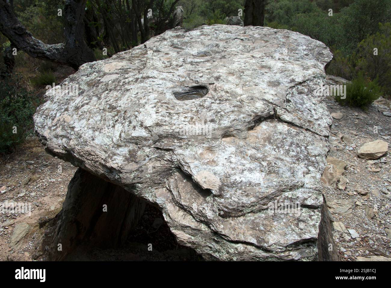Coll de Medàs i dolmen. Passage tombeau 3500-3000 av. J.-C. construit avec schiste. Gravures rocheuses. Cantallops, Alt Empordà ; Gérone, Catalogne, Espagne. Banque D'Images