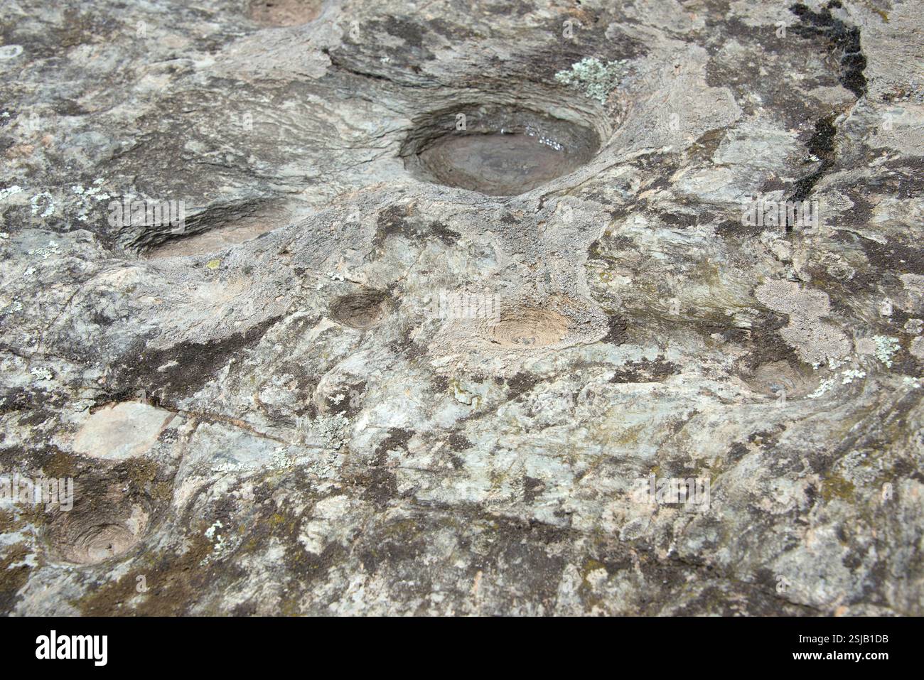 Coll de Medàs i dolmen. Passage tombeau 3500-3000 av. J.-C. construit avec schiste. Gravures rocheuses. Cantallops, Alt Empordà ; Gérone, Catalogne, Espagne. Banque D'Images