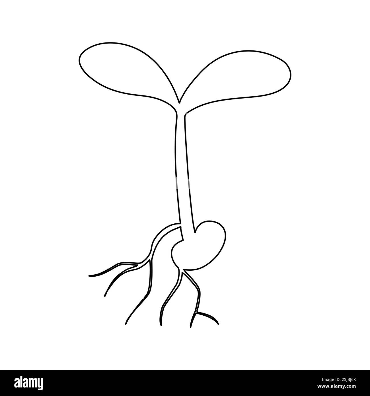L'art à ligne unique de plante de croissance est une œuvre d'art créative et moderne qui exprime le développement de la vie et de la beauté naturelle à travers des lignes simples. Illustration de Vecteur