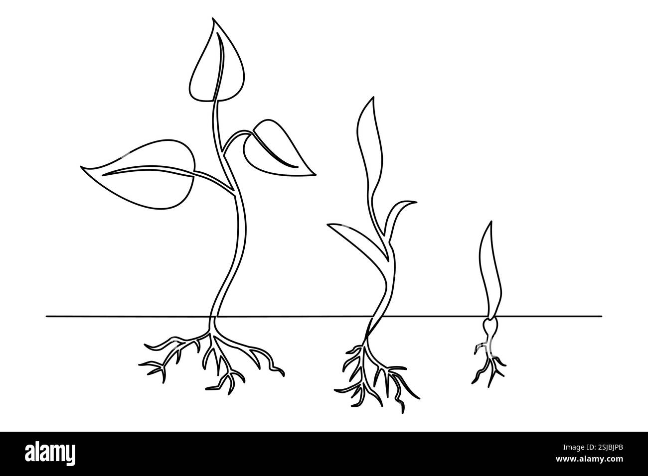L'art à ligne unique de plante de croissance est une œuvre d'art créative et moderne qui exprime le développement de la vie et de la beauté naturelle à travers des lignes simples. Illustration de Vecteur