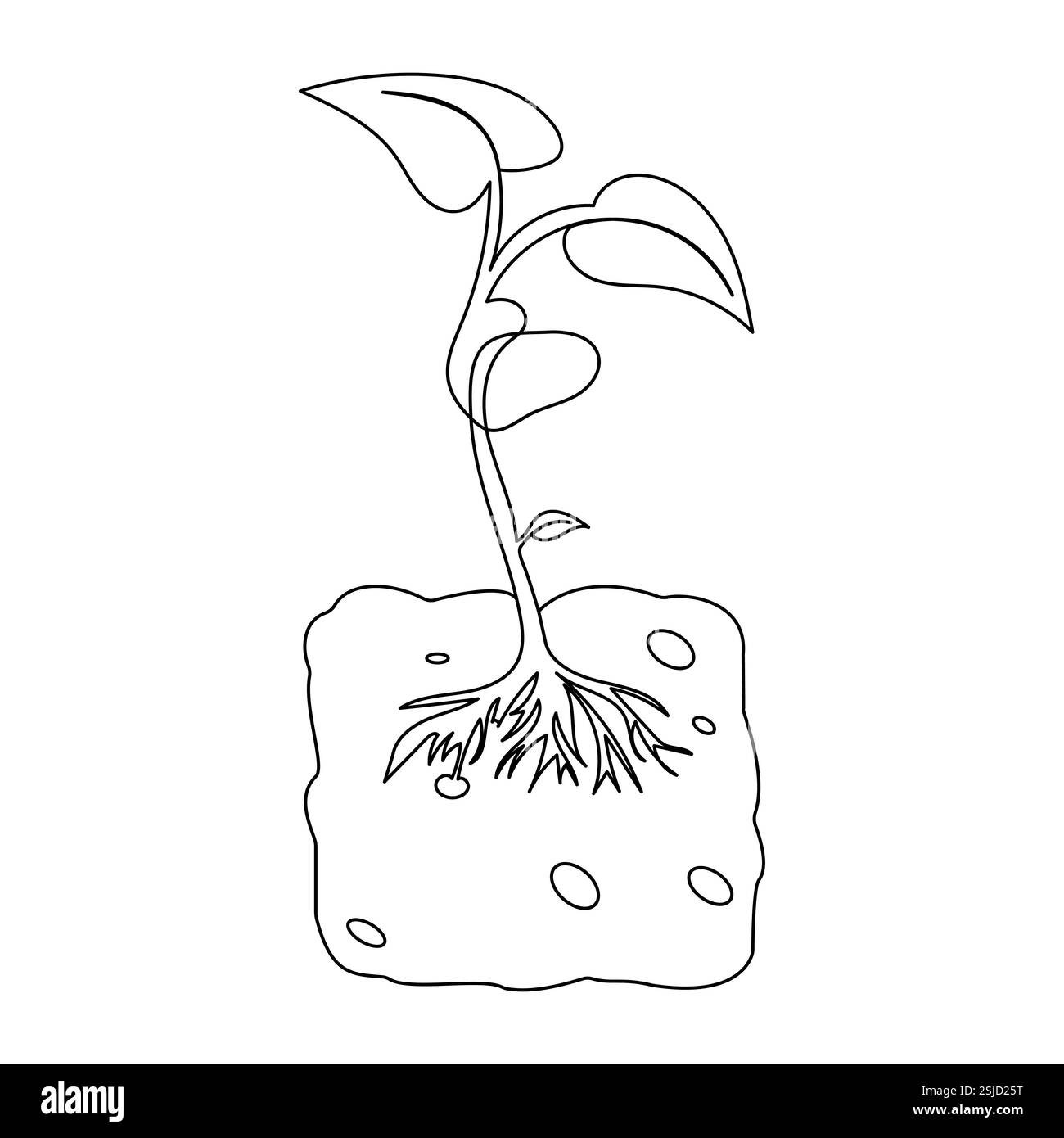 L'art à ligne unique de plante de croissance est une œuvre d'art créative et moderne qui exprime le développement de la vie et de la beauté naturelle à travers des lignes simples. Illustration de Vecteur