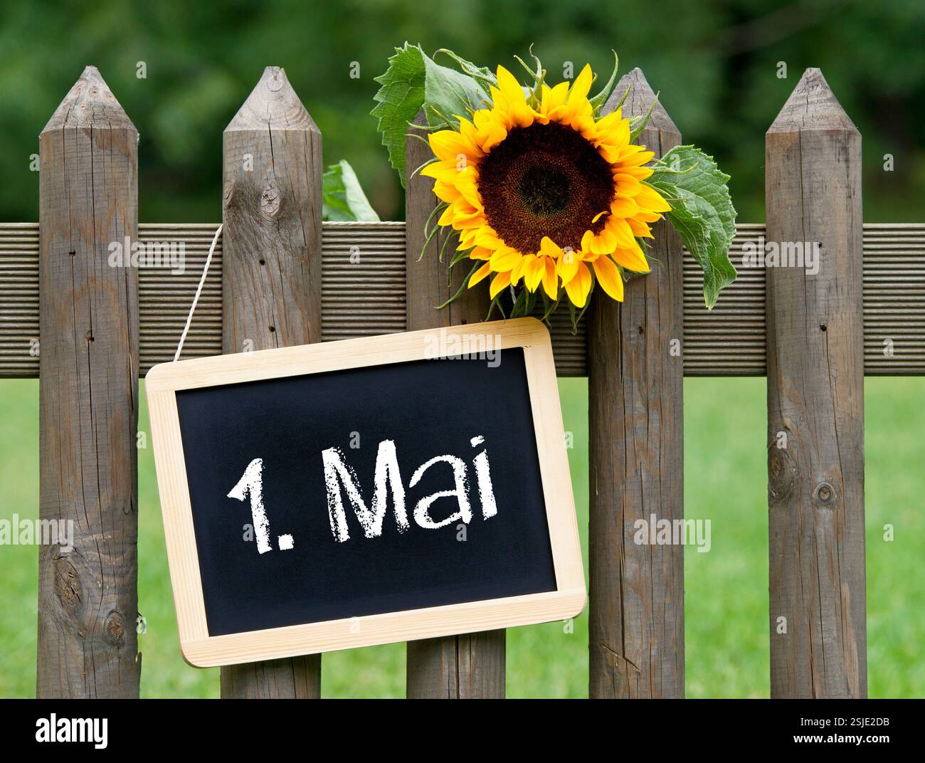 Mai 1er mai, fête du travail Banque D'Images