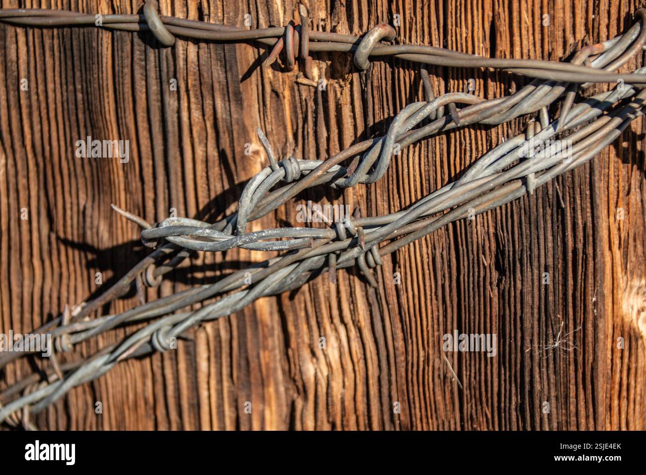Motifs rustiques décoratifs de clôtures de fil barbelé sur des poteaux en bois. Banque D'Images