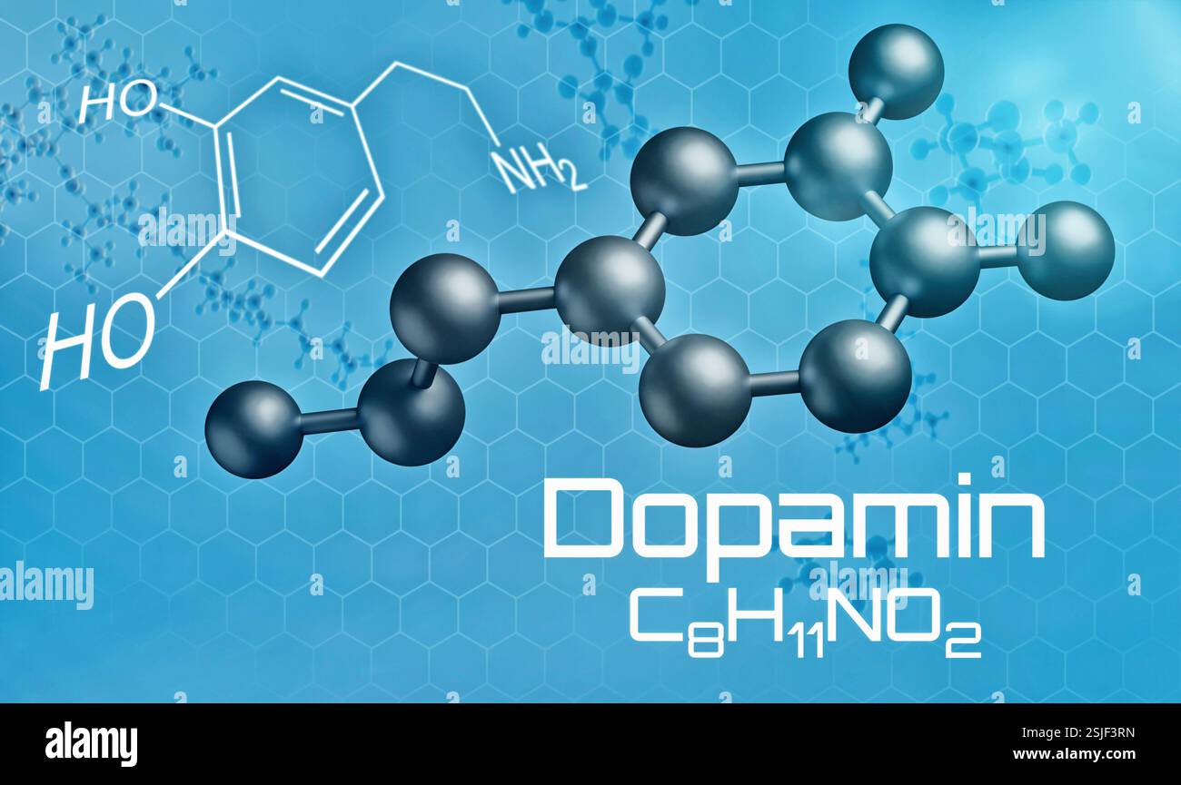 Structure moléculaire tridimensionnelle de dopamine Banque D'Images