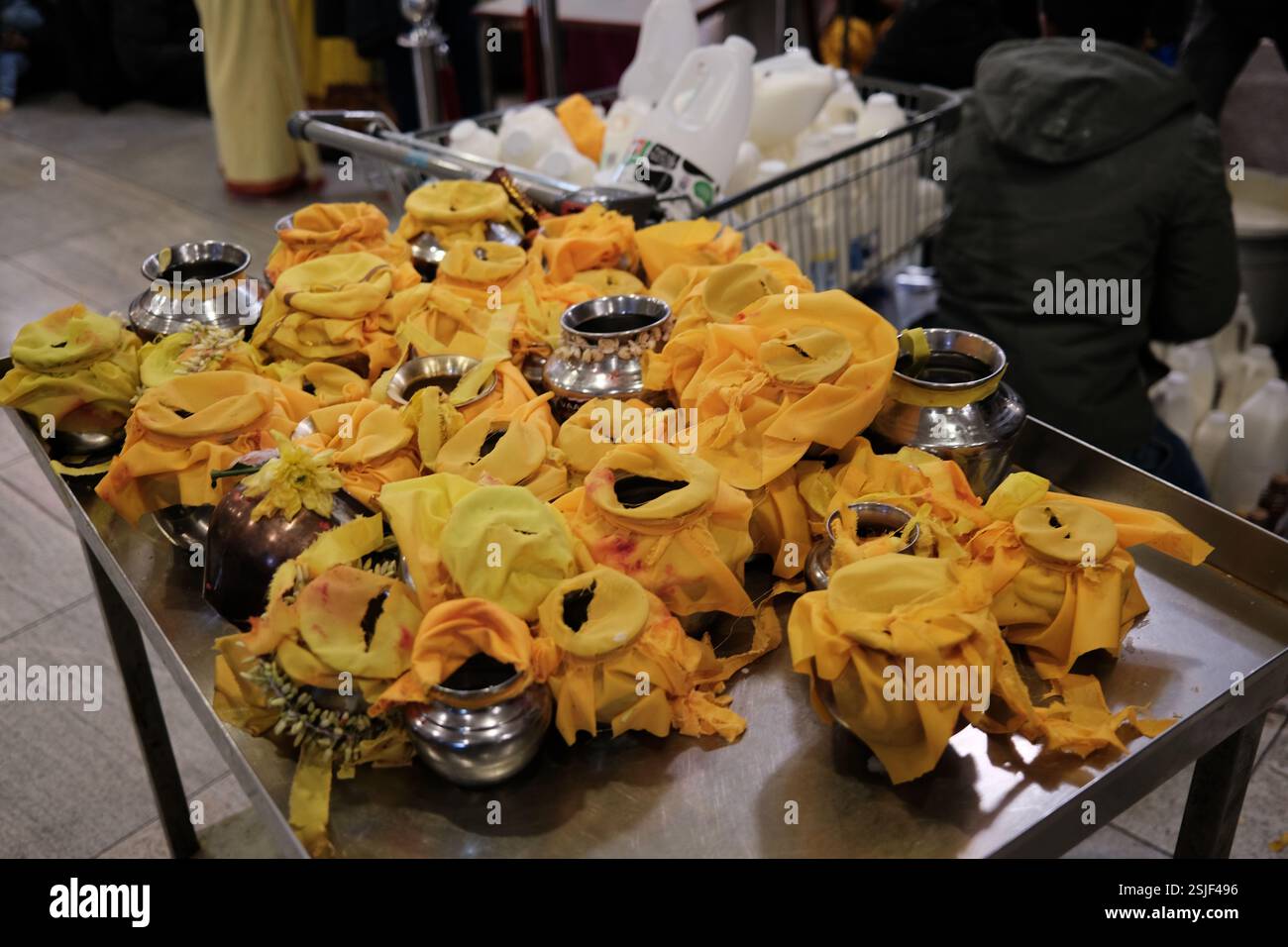 Londres, Royaume-Uni. 11 février 2025. Thaipusalm est célébré au Temple Murugan de l'est de Londres, Manor Park. Principalement les dévots hindous tamouls s'engagent dans un culte rituel et une procession autour du temple. ©Simon King/Alamy Live News Banque D'Images