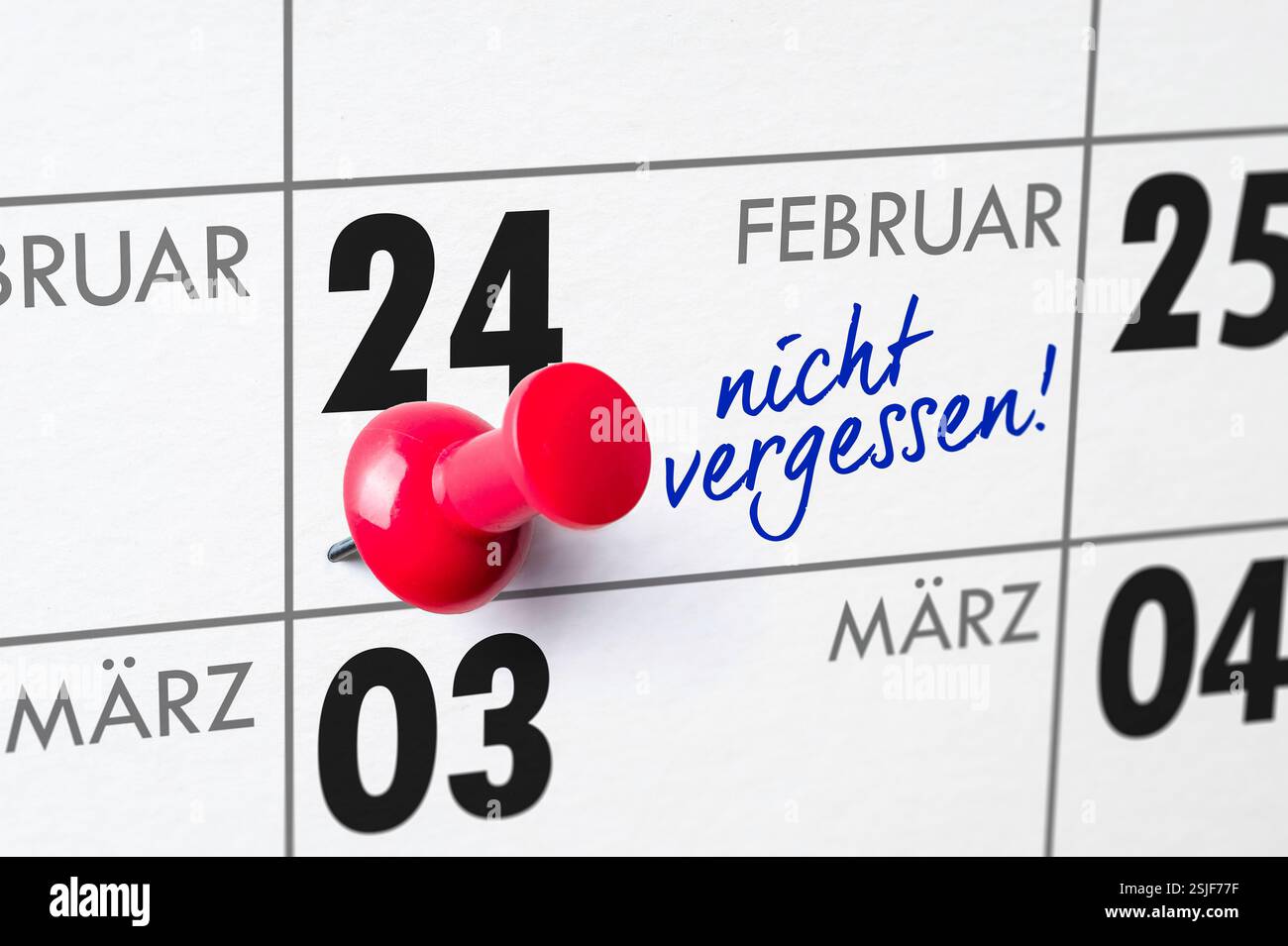 Calendrier mural - 24 février Banque D'Images