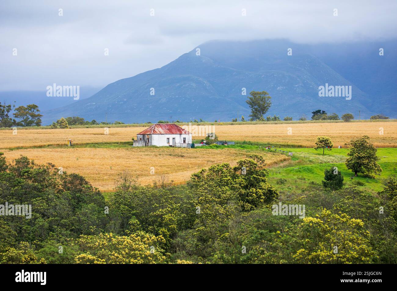 Afrique, Garden route, Afrique du Sud, Western Cape Province, ferme Banque D'Images