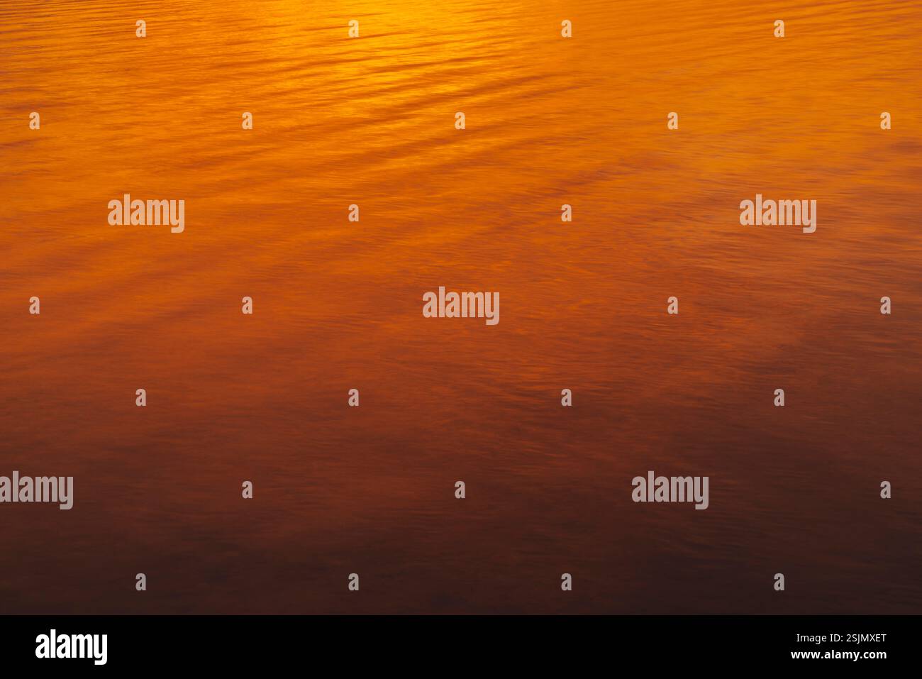 Coucher de soleil, coucher de soleil, vallée de printemps à Glücksburg, longue exposition Banque D'Images