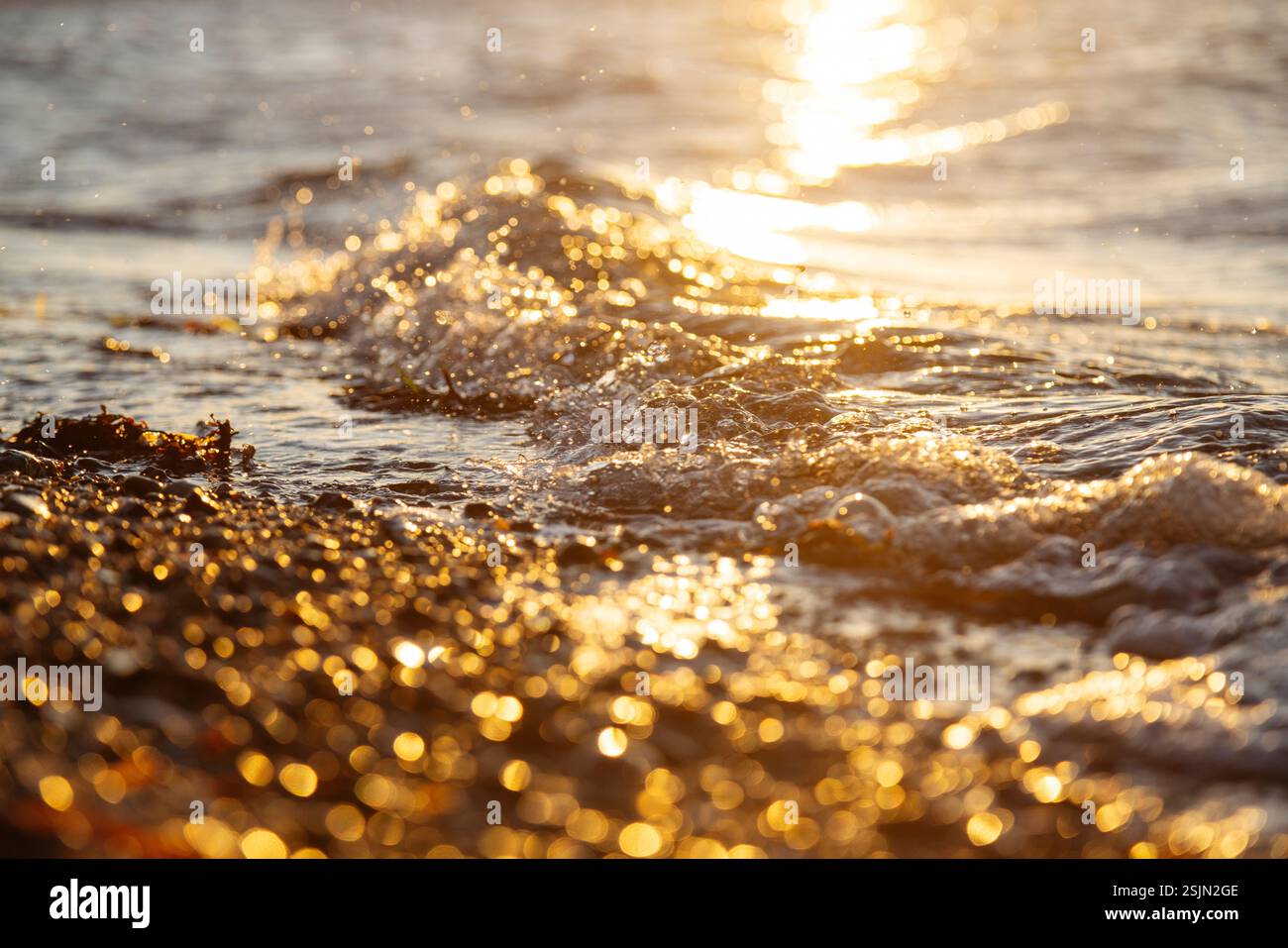 Vallée de printemps, Glücksburg, eau, vagues et plage Banque D'Images