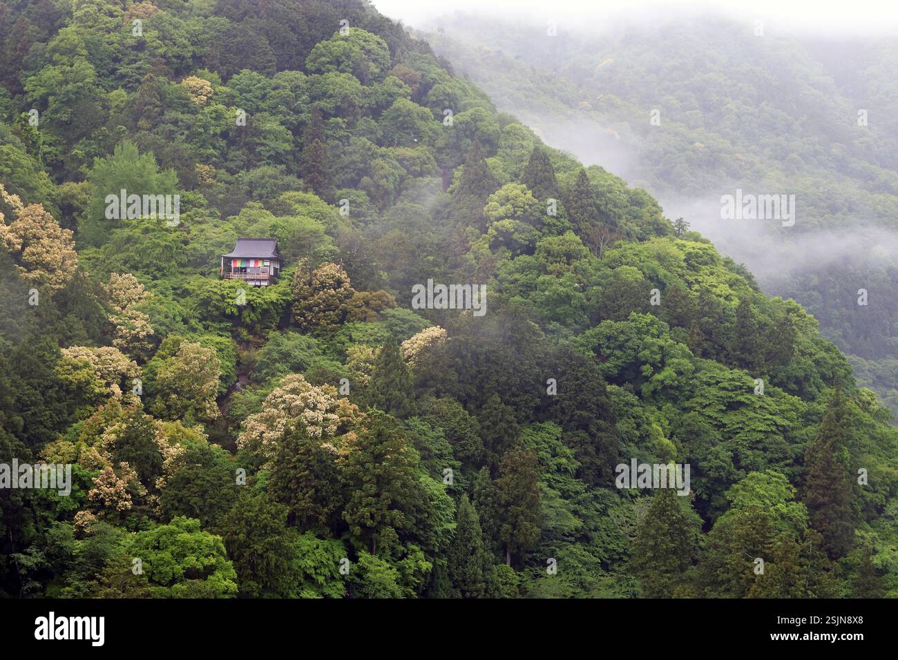 Brume matinale au-dessus du mont Arashiyama et du petit temple de montagne de Daihikaku Senko-ji, face à l'arrière vers Kyoto. Vallée de Hozu, mai. Japon Banque D'Images