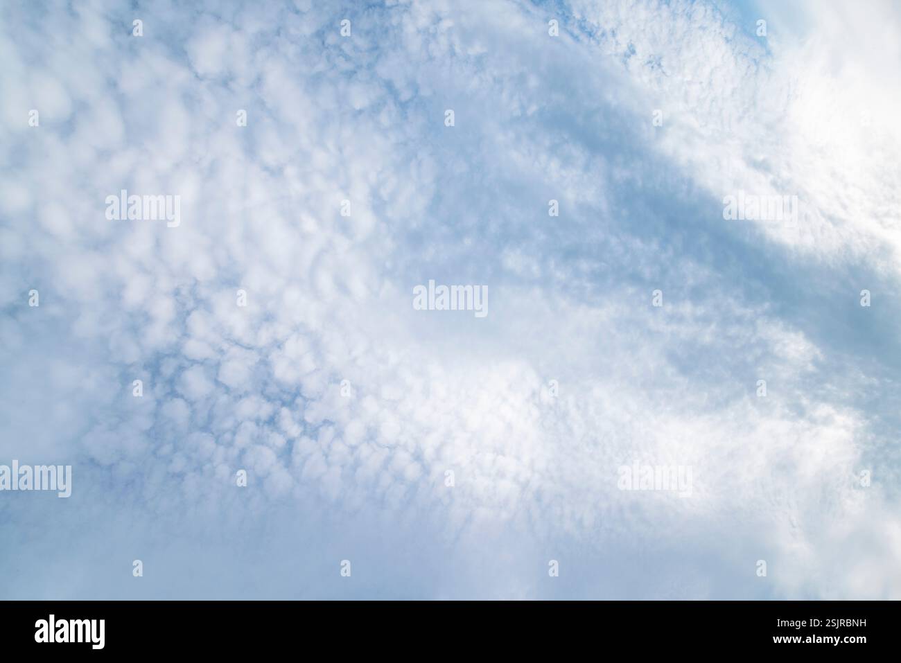 Péninsule de Holnis, ciel avec motif nuageux, Altocumulus floccus Banque D'Images
