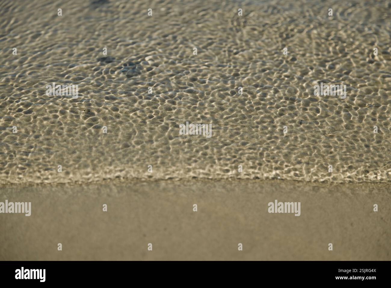 Péninsule de Holnis, plage, Glücksburg Banque D'Images