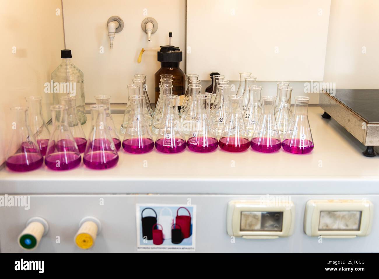 Équipement de laboratoire. Rangées de fioles Erlenmeyer remplies de permanganate. Banque D'Images