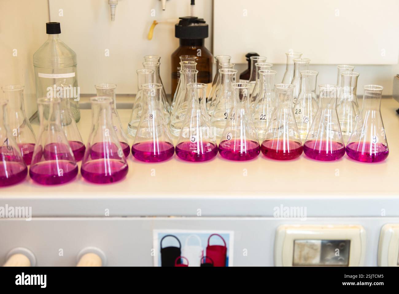Équipement de laboratoire. Rangées de fioles Erlenmeyer remplies de permanganate. Banque D'Images