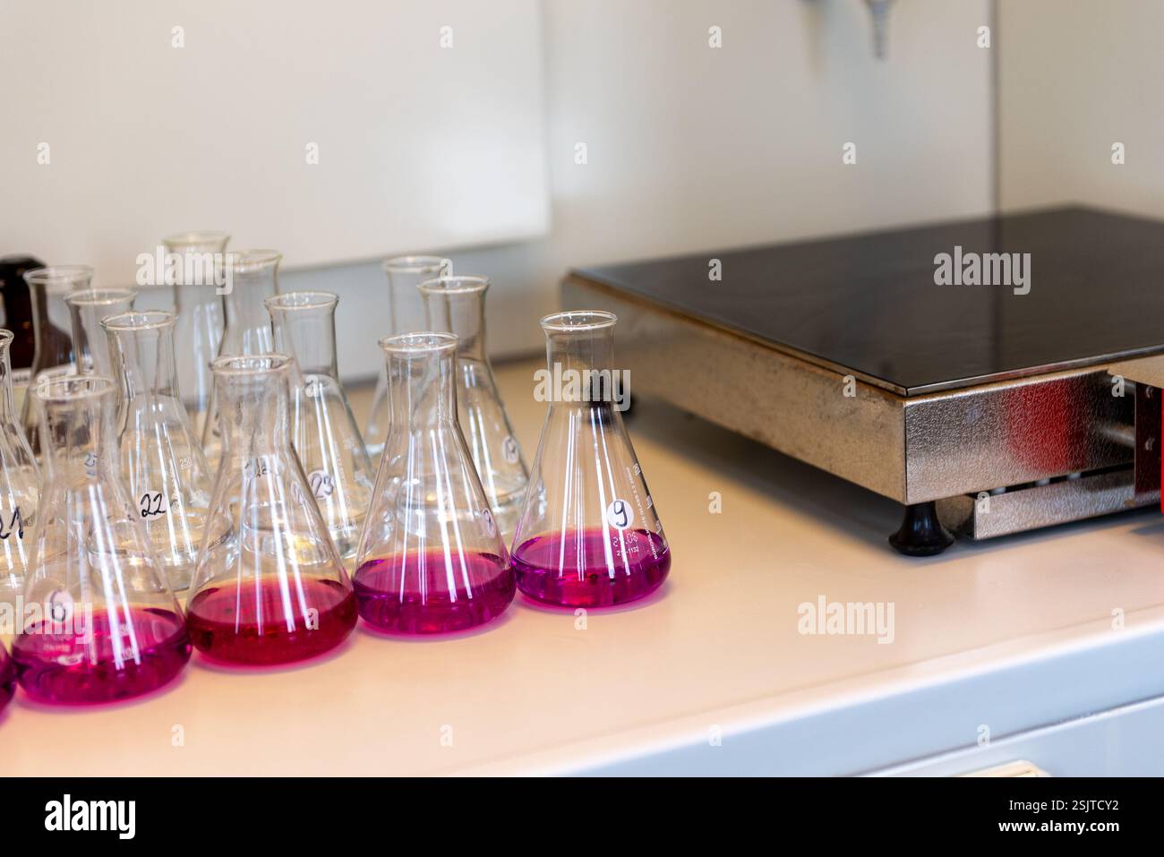 Équipement de laboratoire. Rangées de fioles Erlenmeyer remplies de permanganate. Banque D'Images