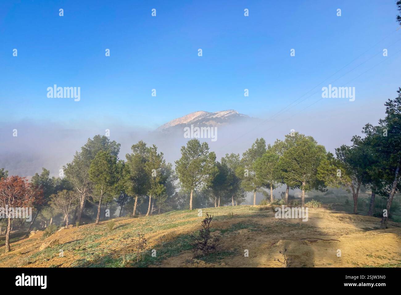 Les réservoirs de Guadalhorce ou Guadalteba sont un groupe de six réservoirs situés sur le cours moyen de la rivière Guadalhorce et deux de ses plus grands affluents - Image de stock capturée avec un smartphone