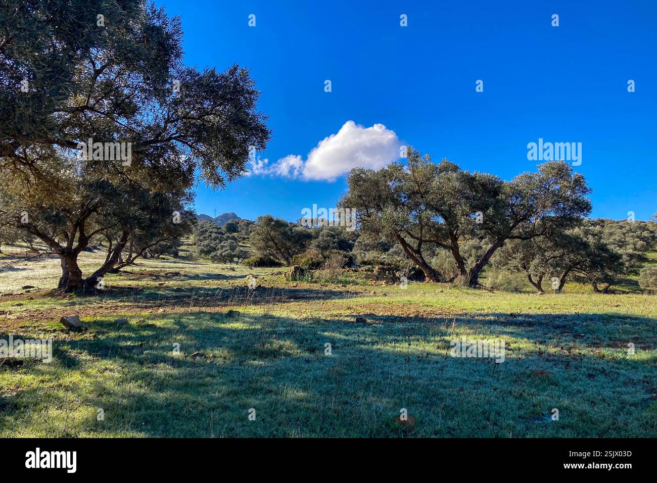 Les réservoirs de Guadalhorce ou Guadalteba sont un groupe de six réservoirs situés sur le cours moyen de la rivière Guadalhorce et deux de ses plus grands affluents - Image de stock capturée avec un smartphone