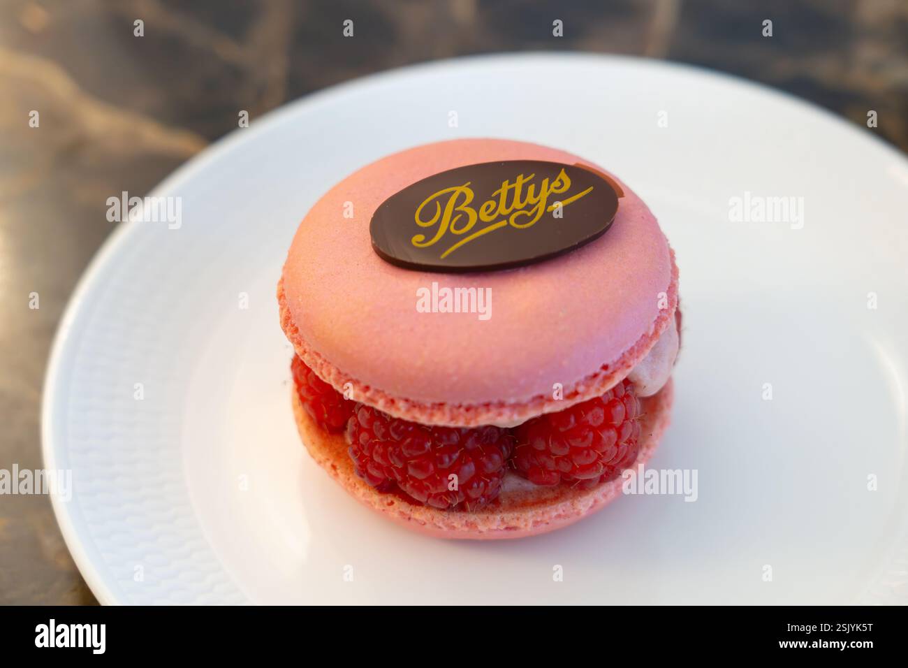 Macaron rose à la framboise avec une feuille de chocolat sur le dessus avec le logo Betty's lettrage sur une assiette. Salons de thé Bettys Café à Harrogate, Angleterre Banque D'Images