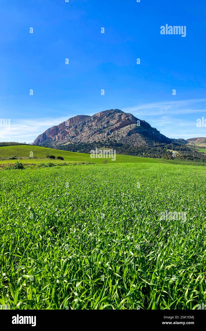 Les réservoirs de Guadalhorce ou Guadalteba sont un groupe de six réservoirs situés sur le cours moyen de la rivière Guadalhorce et deux de ses plus grands affluents - Image de stock capturée avec un smartphone