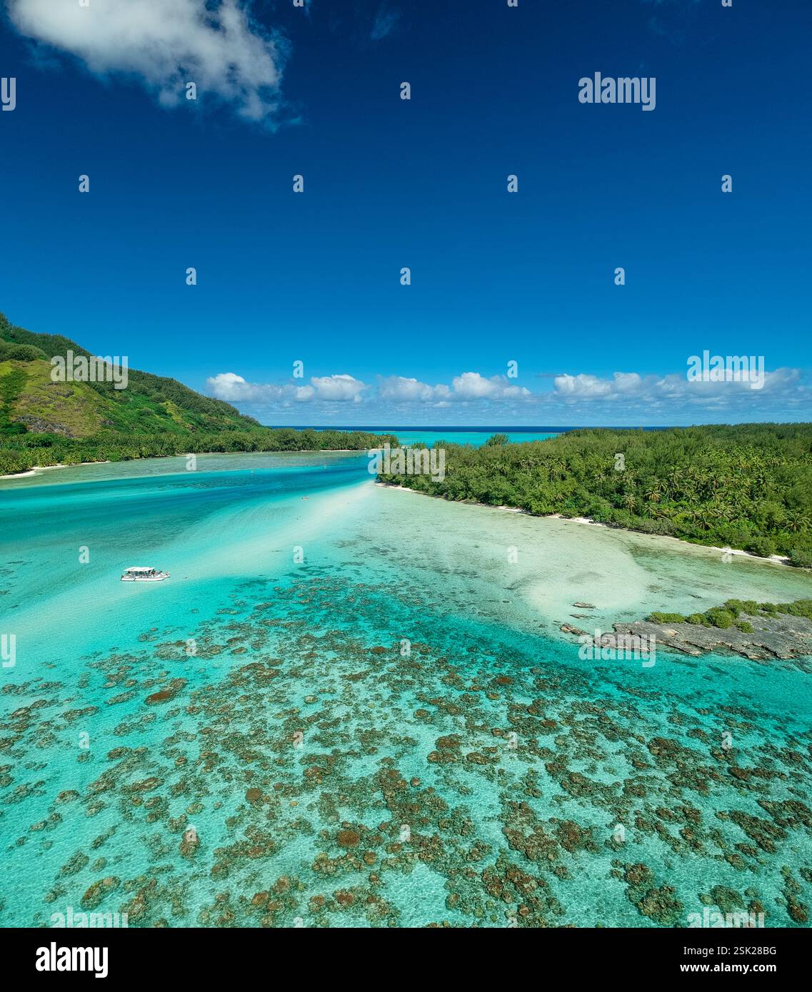 Belles eaux bleues de Moorea Banque D'Images