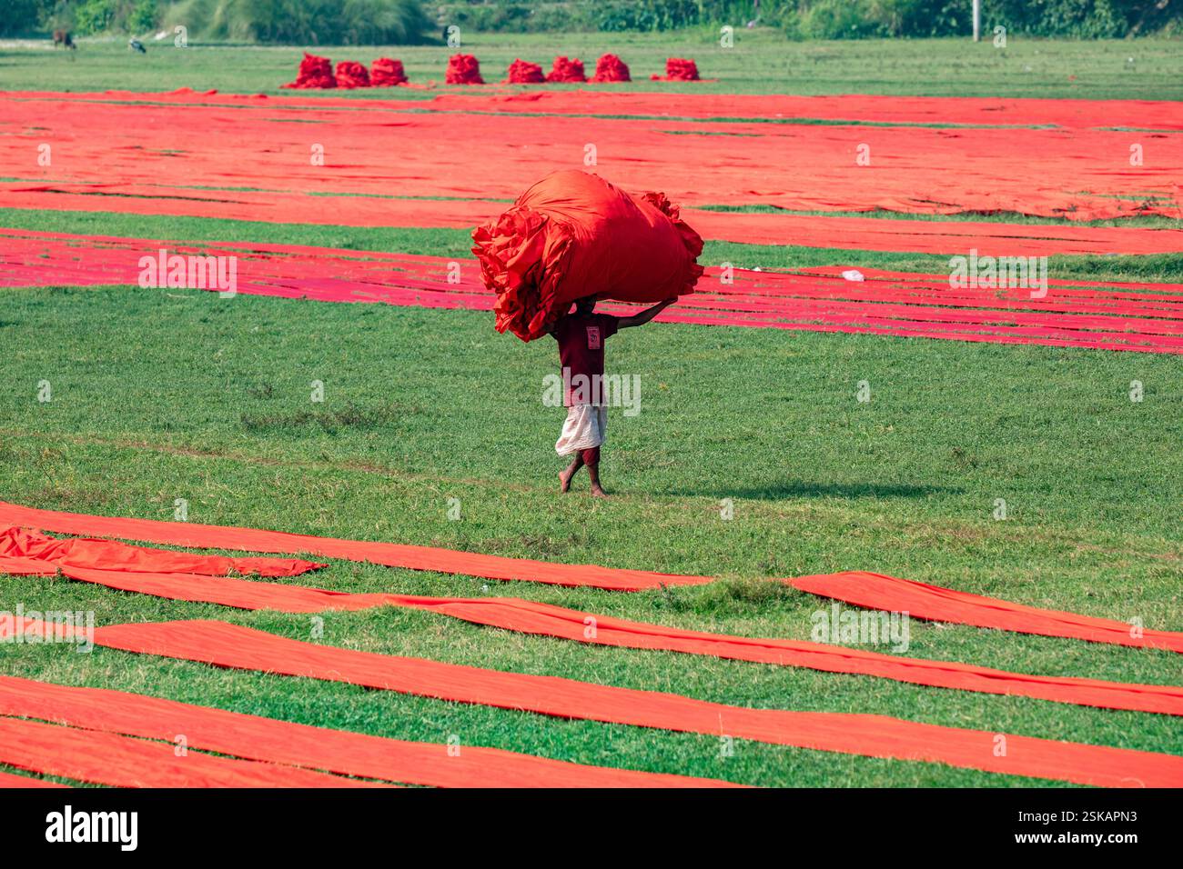 Un ouvrier porte un tissu teint sur sa tête alors qu'il se rend à l'usine après qu'elle a séché. Narsingdi, Bangladesh. Banque D'Images