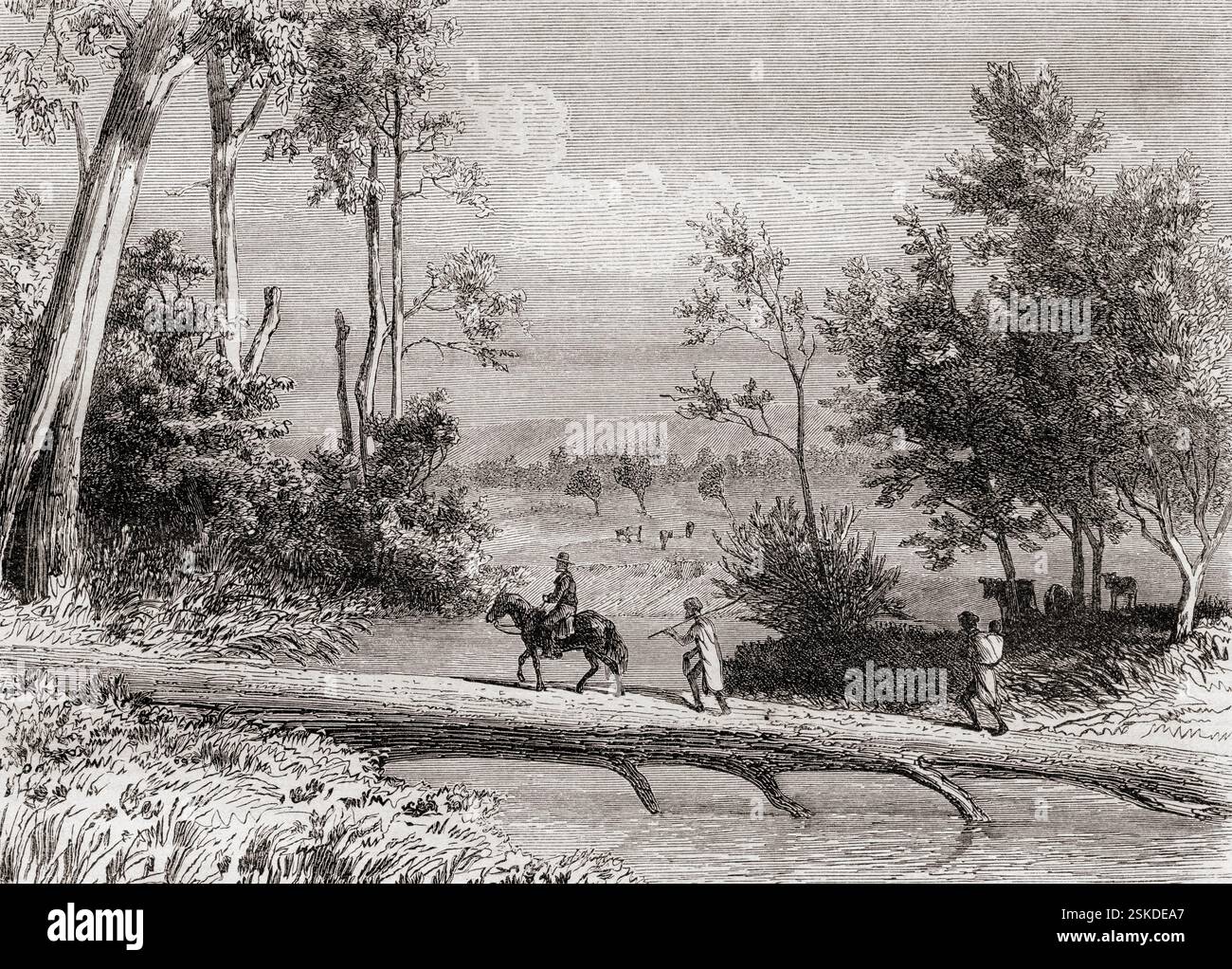 Un eucalyptus tombé servant de pont sur la rivière Lerderderg, Darley Station, Victoria, Australie, 19ème siècle. Extrait de souvenir d'un squatter Francais en Australie ou mémoire d'un squatter français en Australie par Hubert de Castella, 1825 - 1907. Swiss - écrivain australien, artiste et vigneron. En vedette dans le Tour du monde, publié en 1861. Banque D'Images Un eucalyptus tombé servant de pont sur la rivière Lerderderg, Darley Station, Victoria, Australie, 19ème siècle. Extrait de souvenir d'un squatter Francais en Australie ou mémoire d'un squatter français en Australie par Hubert de Castella, 1825 - 1907. Swiss - écrivain australien, artiste et vigneron. En vedette dans le Tour du monde, publié en 1861. Banque D'Images