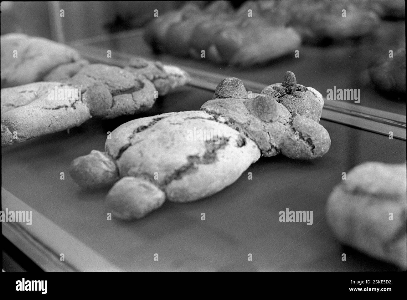 --- 'Weiblicher' Grittibänz, Schlussprüfung einer Bäckerfachschule, 1969#'Female' Grittibänz, examens finaux des apprentis boulangers, 1969- RDB DE DUKAS Banque D'Images