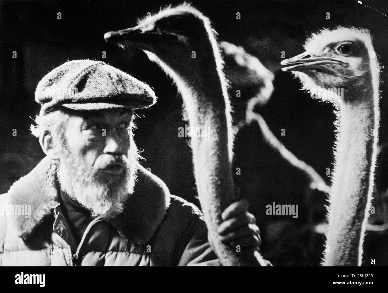 --- John Huston dans 'la Bibbia' 1966#John Huston dans 'la Bibbia' 1966 Banque D'Images