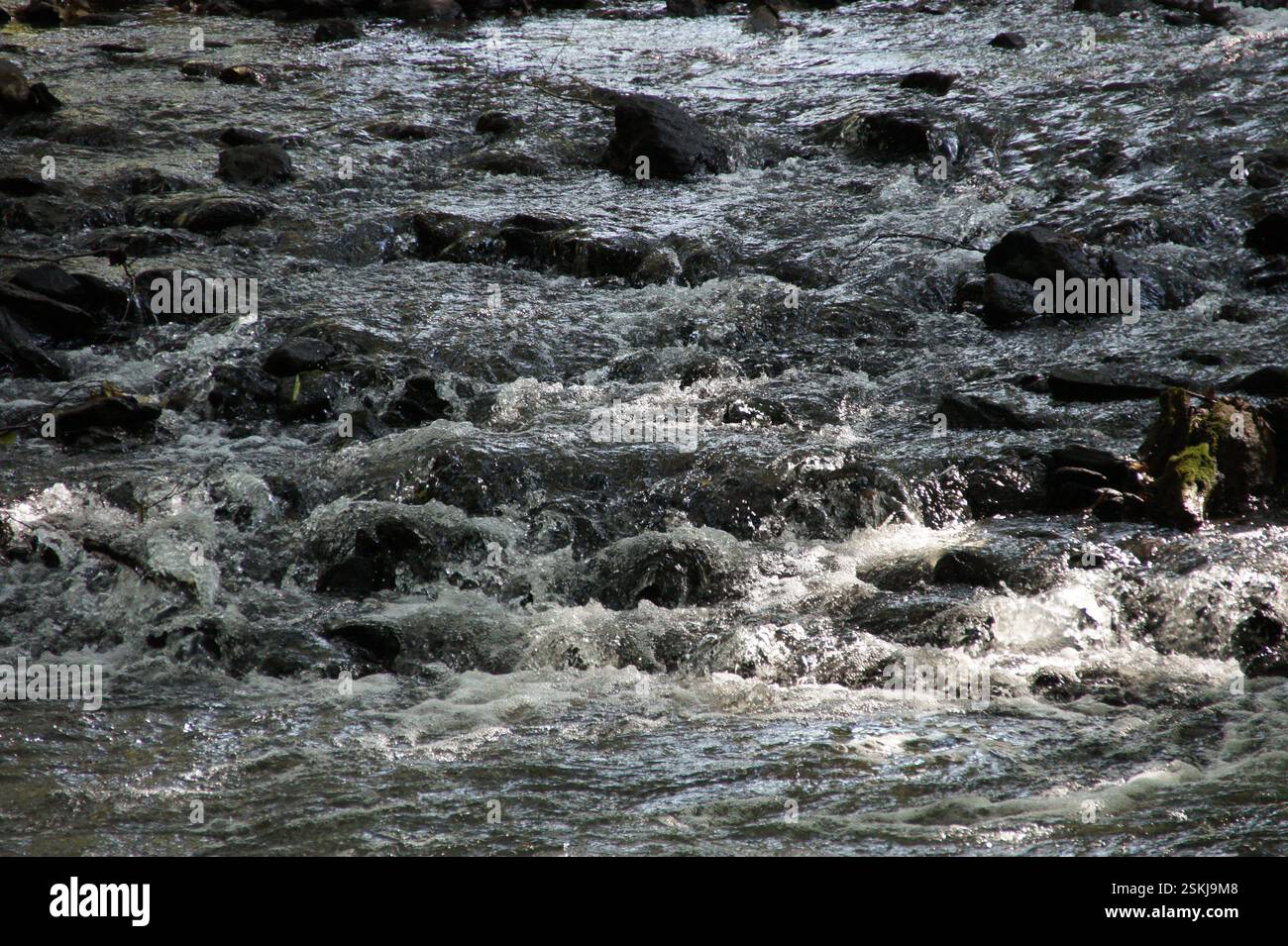 L'eau se précipite sur les roches lisses, la lumière du soleil étincelant sur la surface. BULGARIE L'eau précipitée symbolise le flux constant de la vie et du temps. Le lissage Banque D'Images