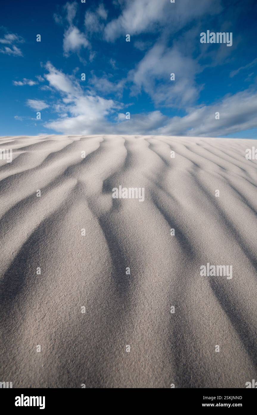 Dunes de sable Banque D'Images