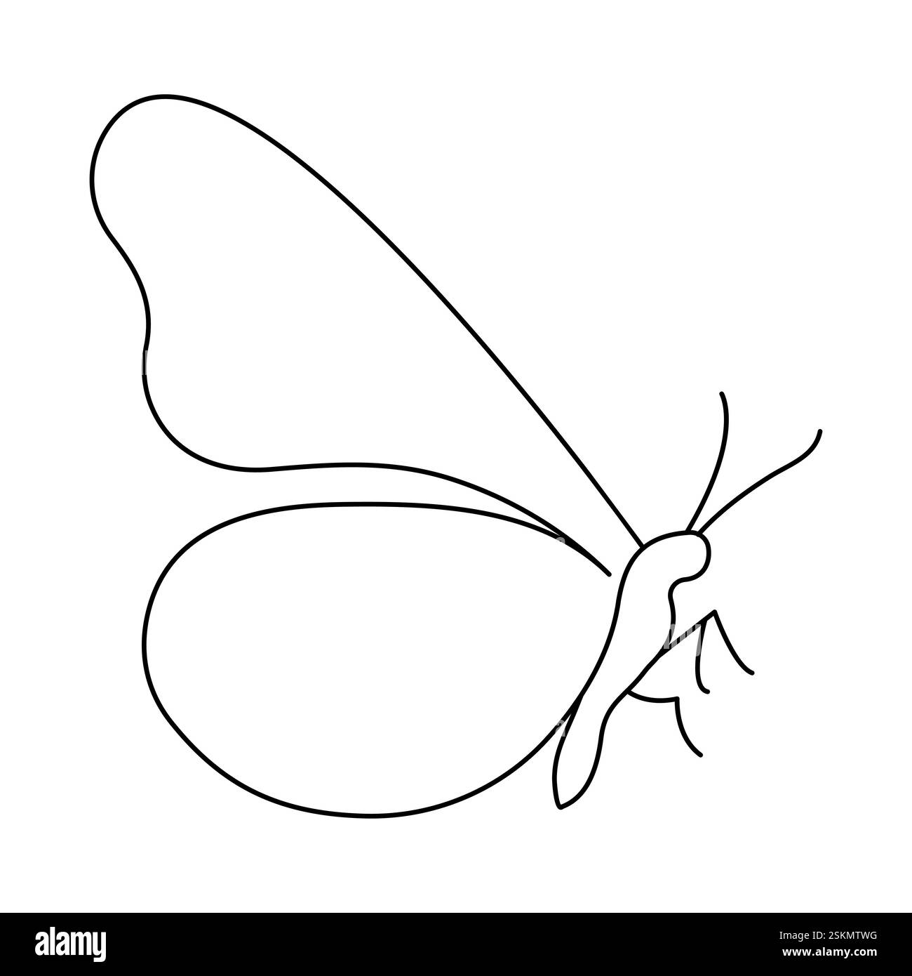 Dessin d'art continu papillon à une ligne avec fond noir et blanc Illustration de Vecteur