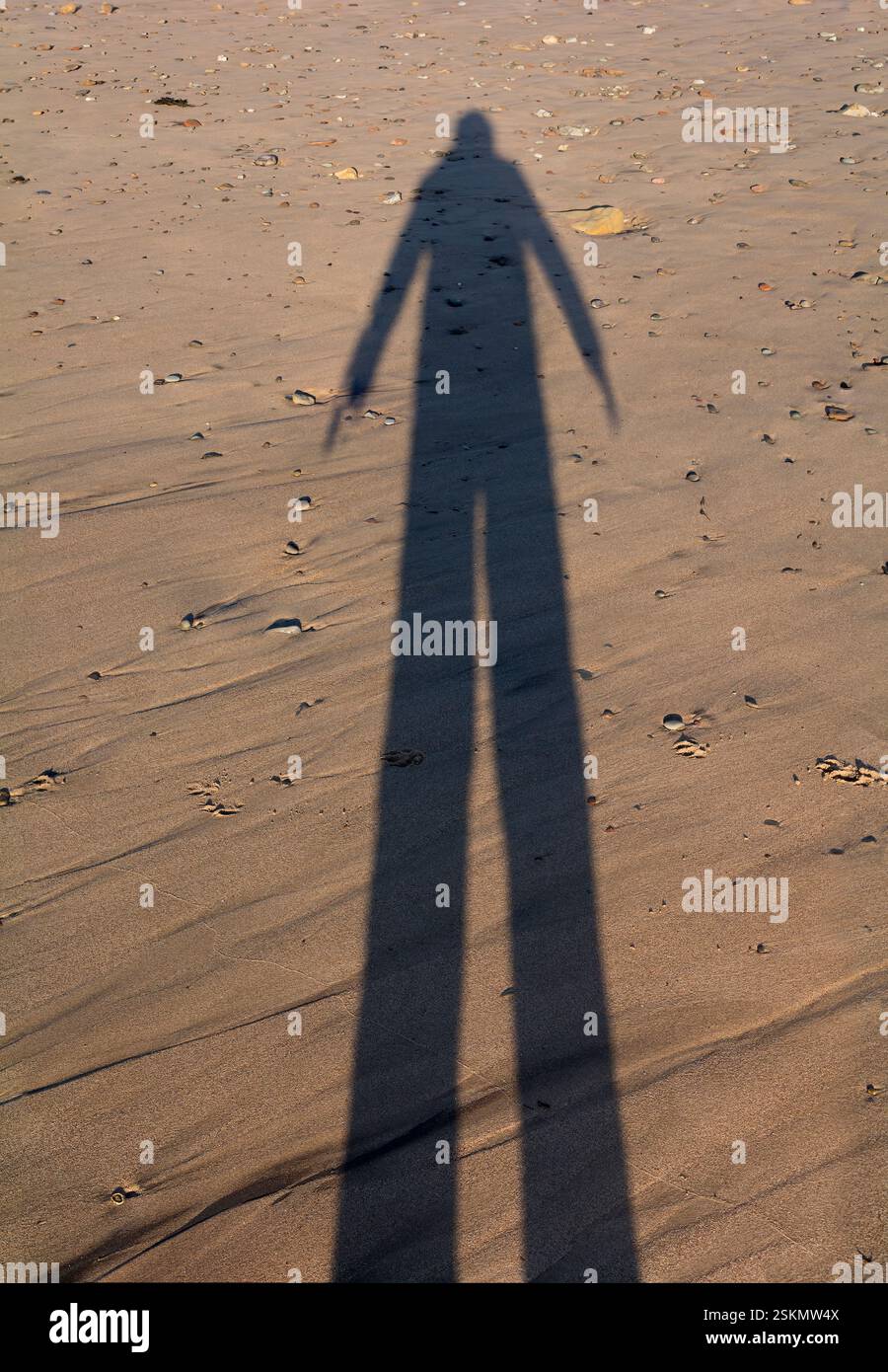 Longue ombre d'un homme sur le sable, d'un soleil très bas Banque D'Images