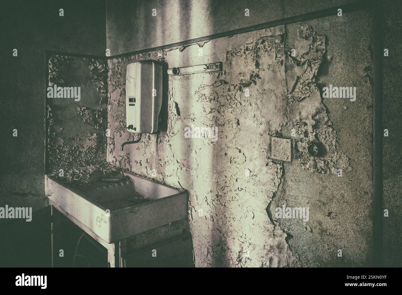 quelque part dans les bois Banque D'Images