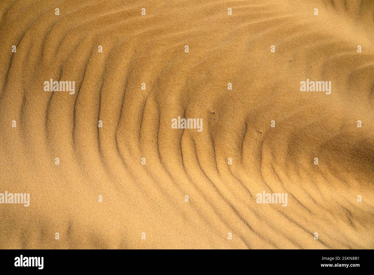 Formations de sable sur la plage, Praia Baleal Sul, région d'Oeste, Portugal Banque D'Images