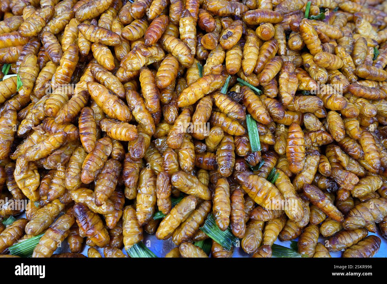 Gros plan de vers à soie, frits avec des feuilles de citronnelle, de la sauce soja et de l'assaisonnement, en vente au stand Thai Street food Banque D'Images